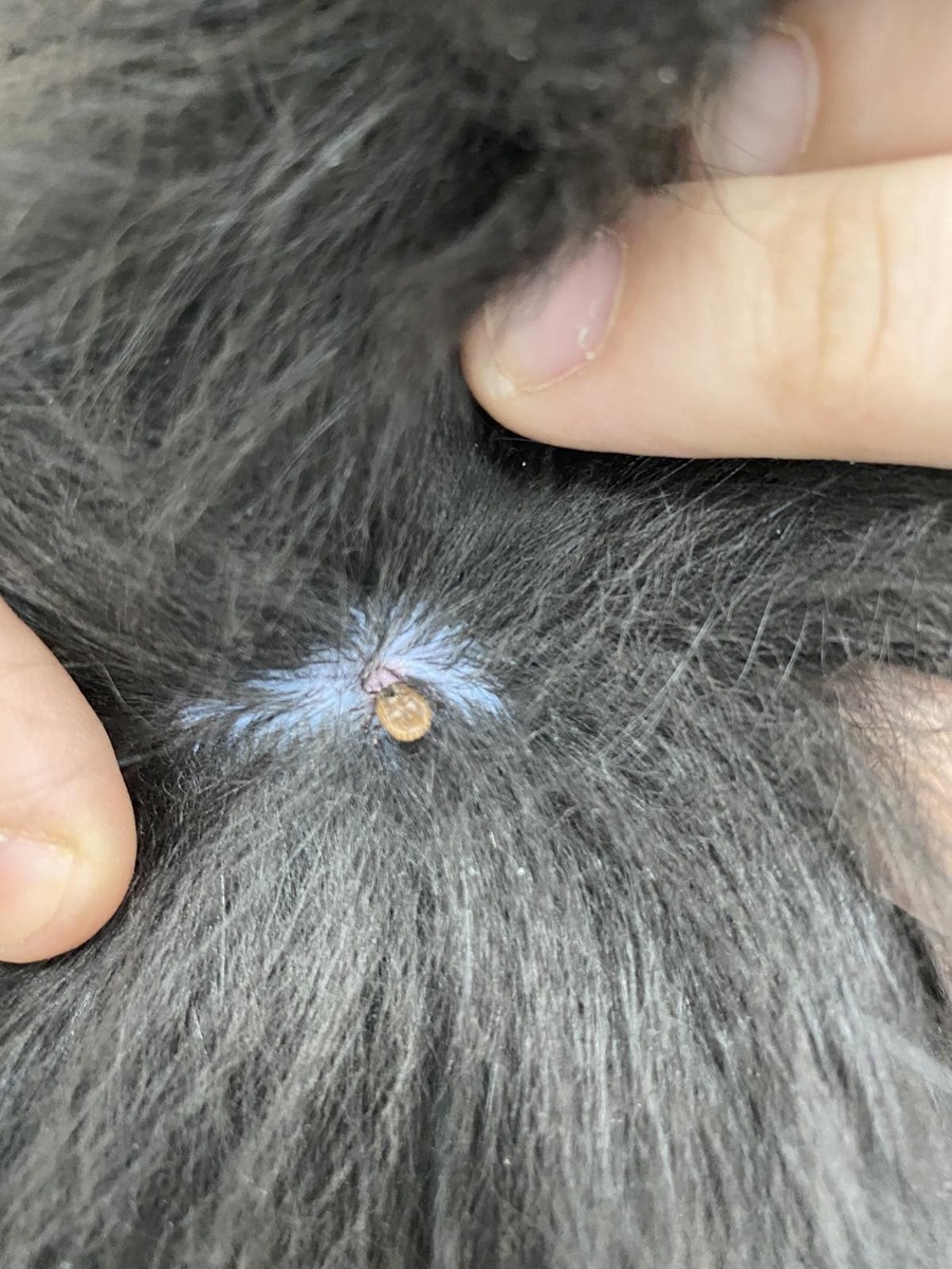 Фото взято из открытых источников интернета 