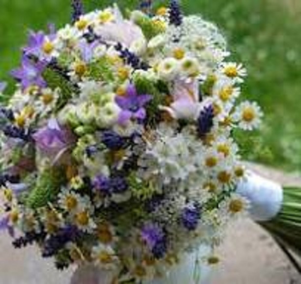 Люблю полевые цветы