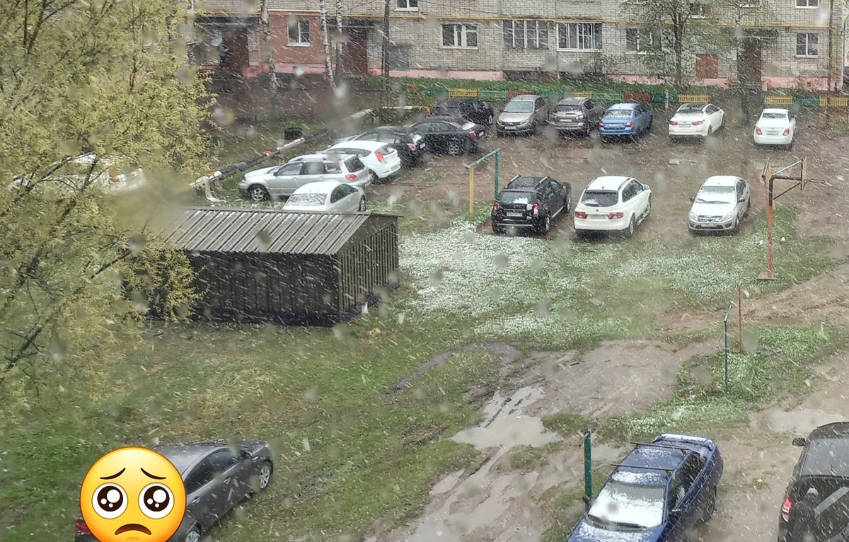 Фото автора 1 мая 2025 года.