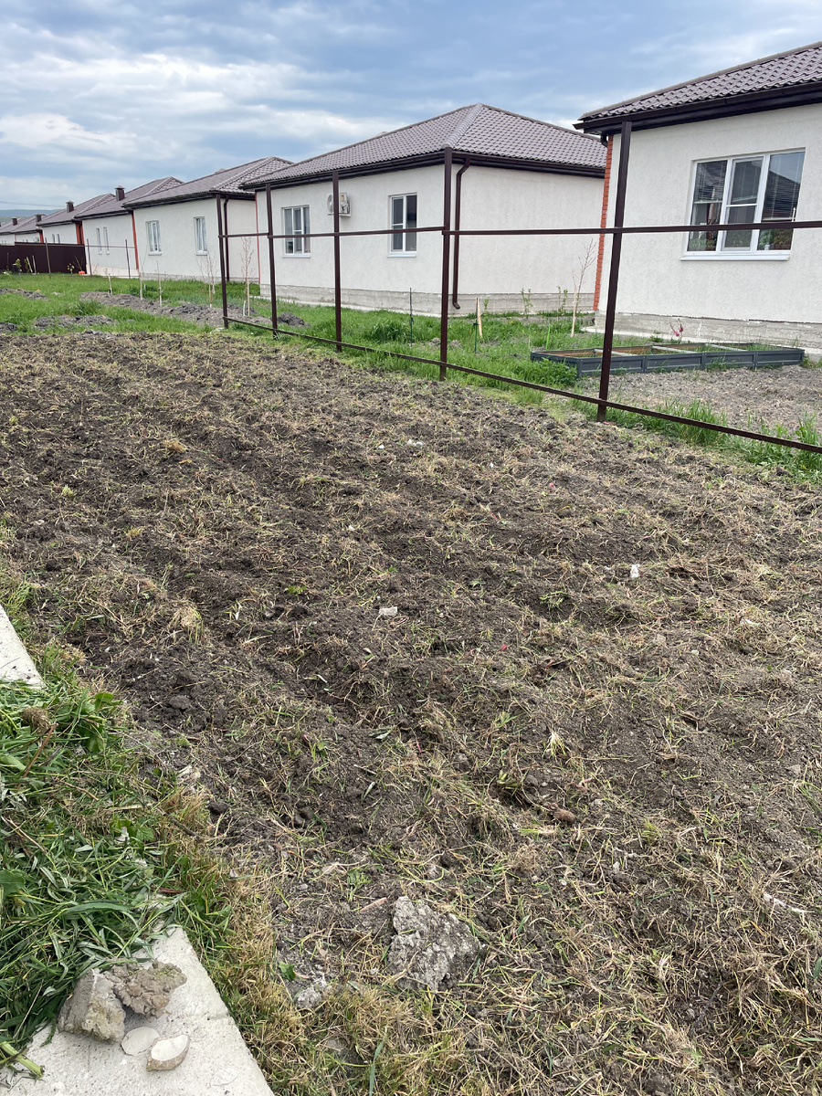 Фото автора: только вспаханный участок, здесь я планировала «сад»