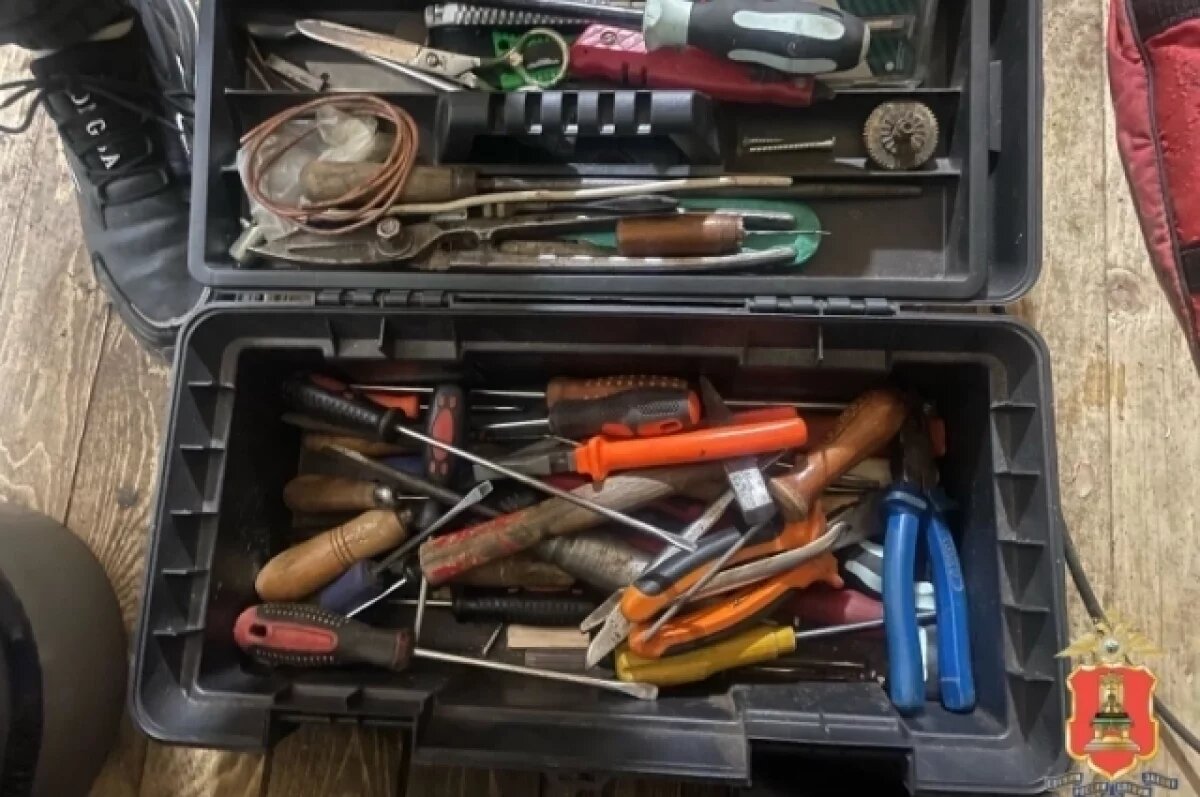    В Торопце 44-летней женщине вернули украденные инструменты