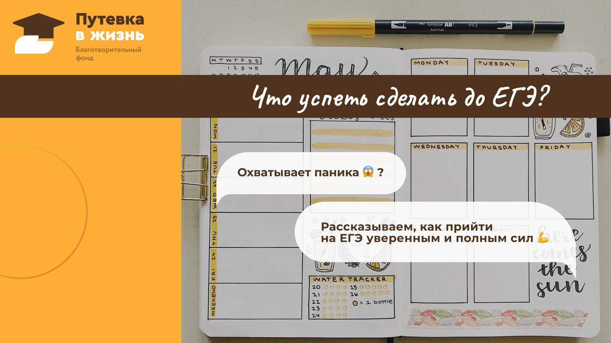 Рассказываем, что нужно успеть сделать до ЕГЭ, чтобы пойти на экзамен уверенным и полным сил. 