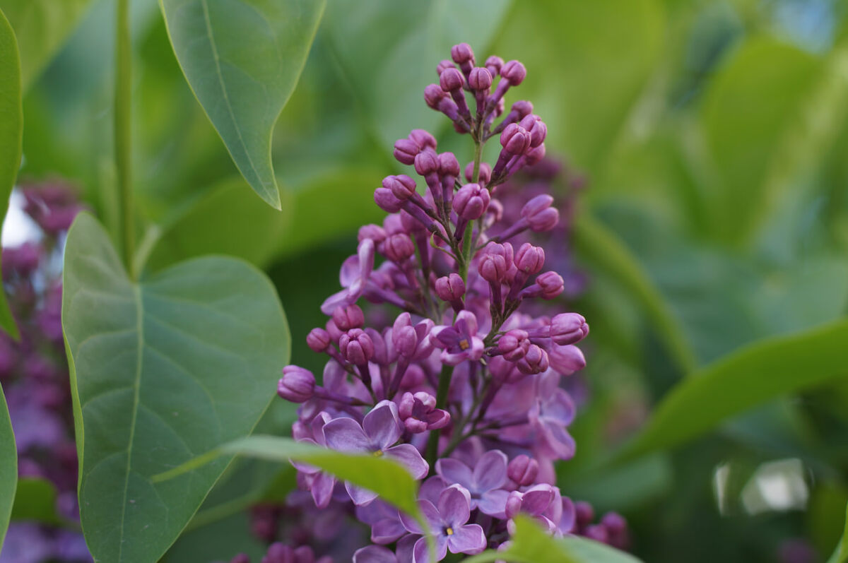 Фото Михаила Шантаренко t.me/moscow_mylove