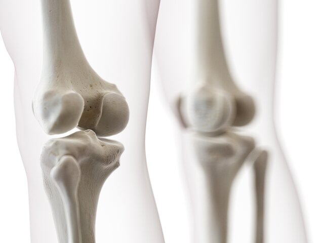    Фото: 123RF/Eraxion