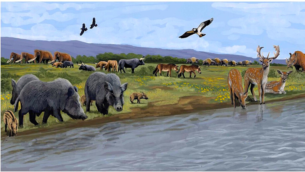 Крупной живности в межледниковой Европе вообще водилось много.