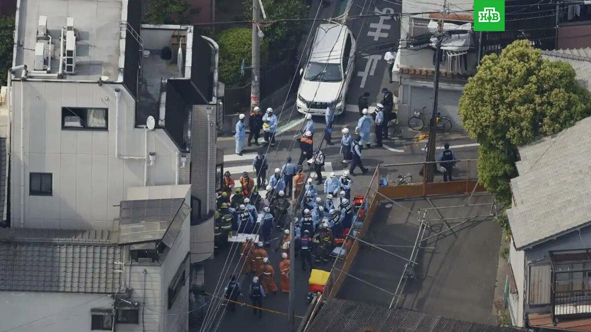    Фото: соцсети