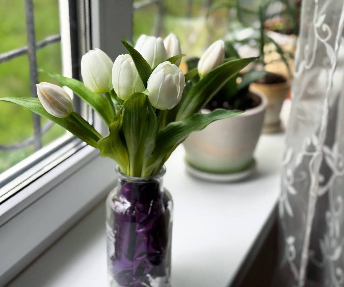 Люблю свои подоконники))