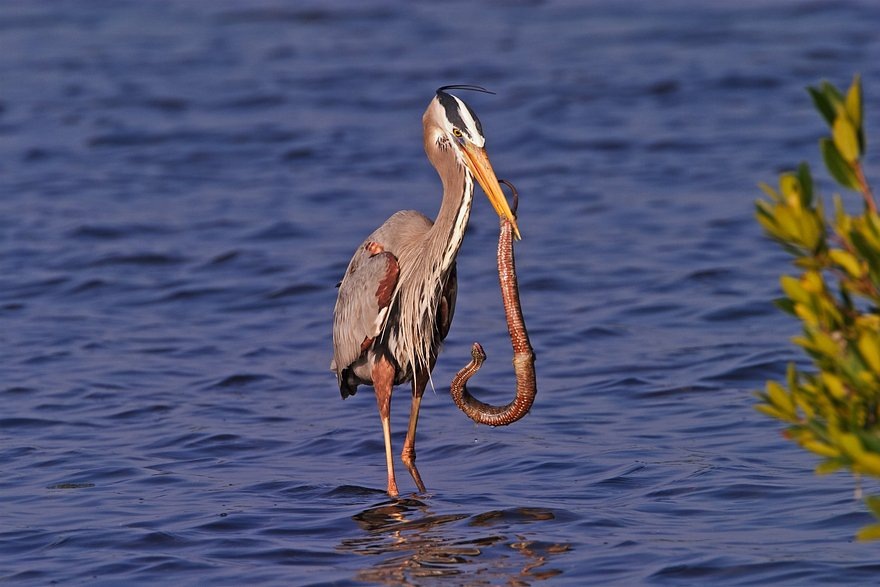    Фото: Globallookpress.com