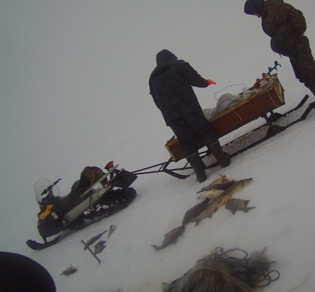 Фото: пресс-служба Пограничного управления ФСБ России по Псковской области