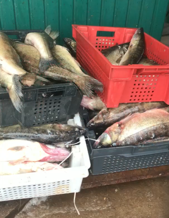 Фото: пресс-служба Пограничного управления ФСБ России по Псковской области