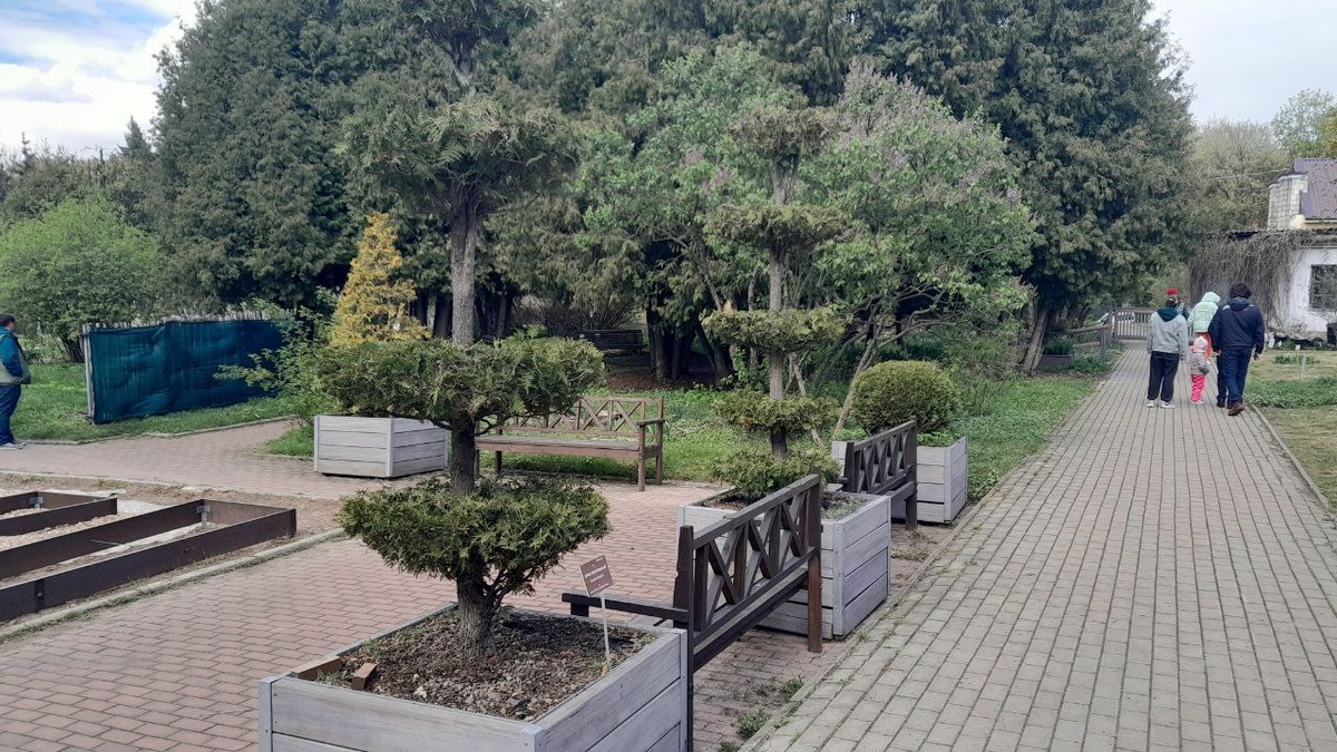 На территории Ботанического сада