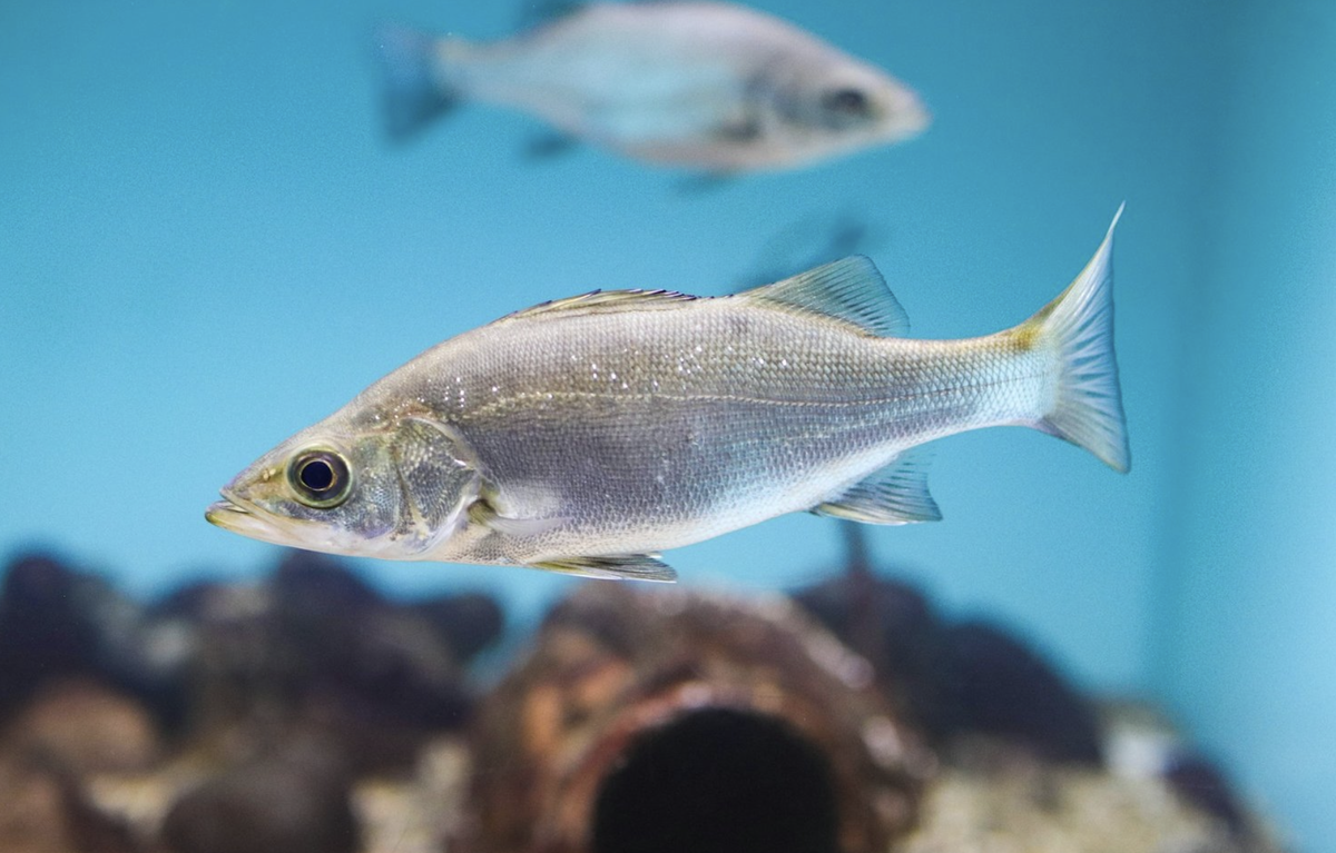 Фото: SLNC / Unsplash
