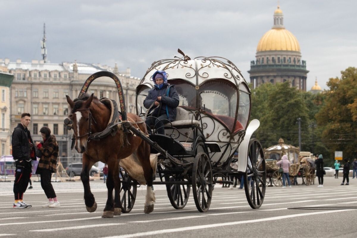     Катание на лошадях. Источник: rg.ru Автор фото: Святослав Акимов