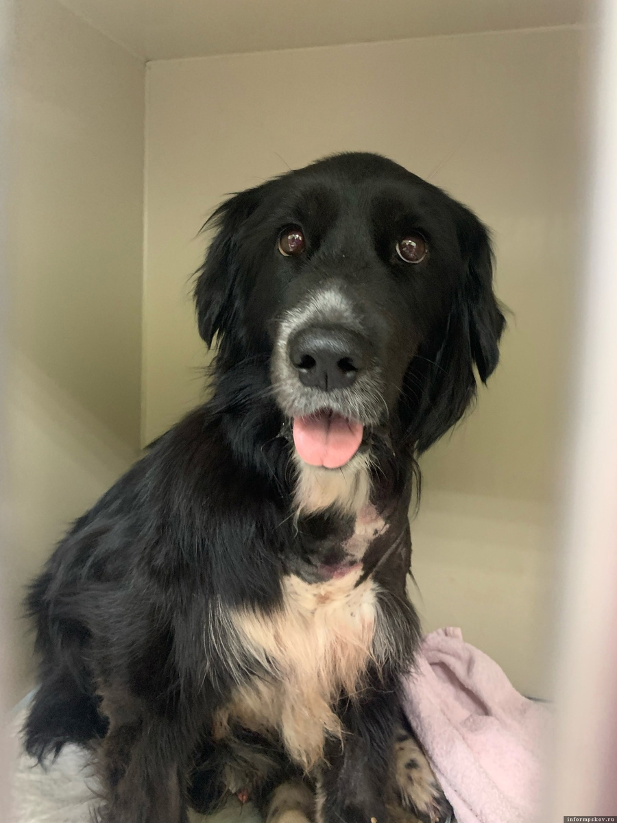 Фото: «Шанс»