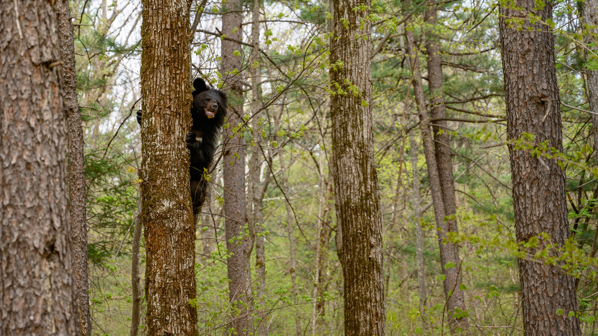 В поисках жилья. Фото: Владимир Чебанов, участник конкурса РГО «Самая красивая страна»