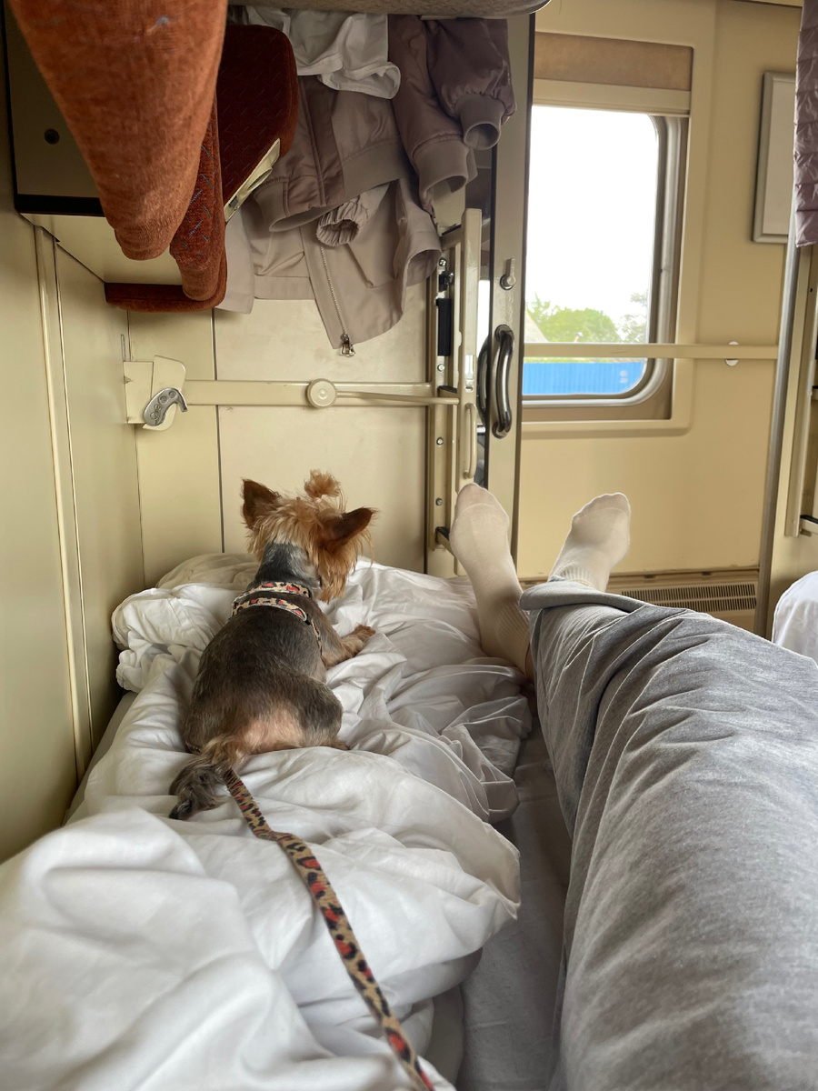 Анфиса бдит)