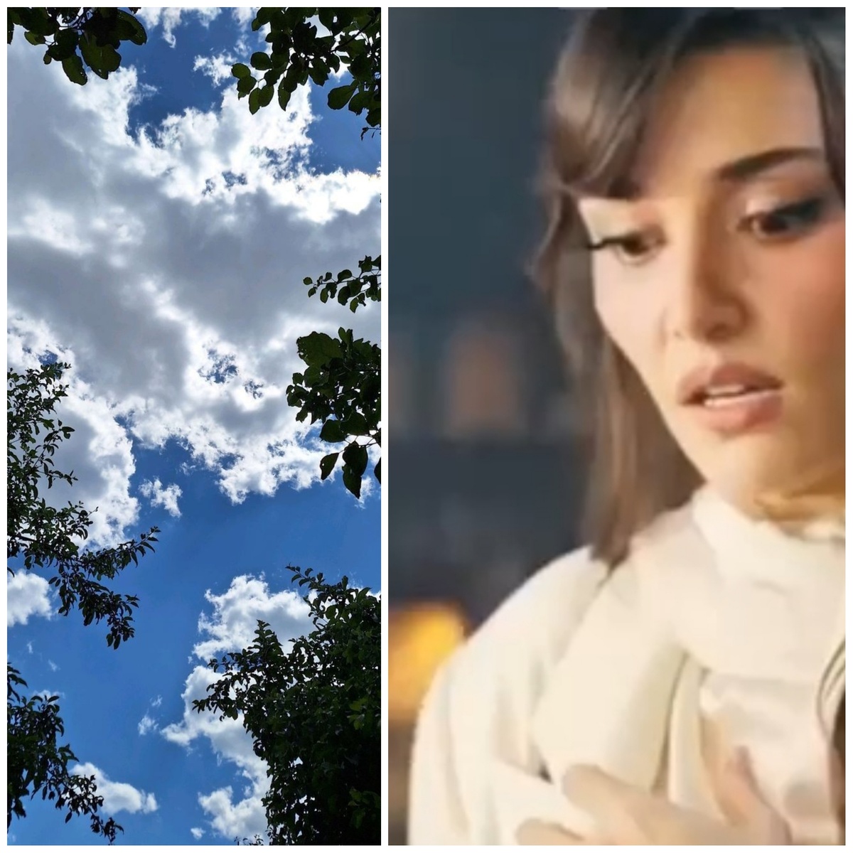 Коллаж Сериального психолога в Дзен/Фото из открытых источников 