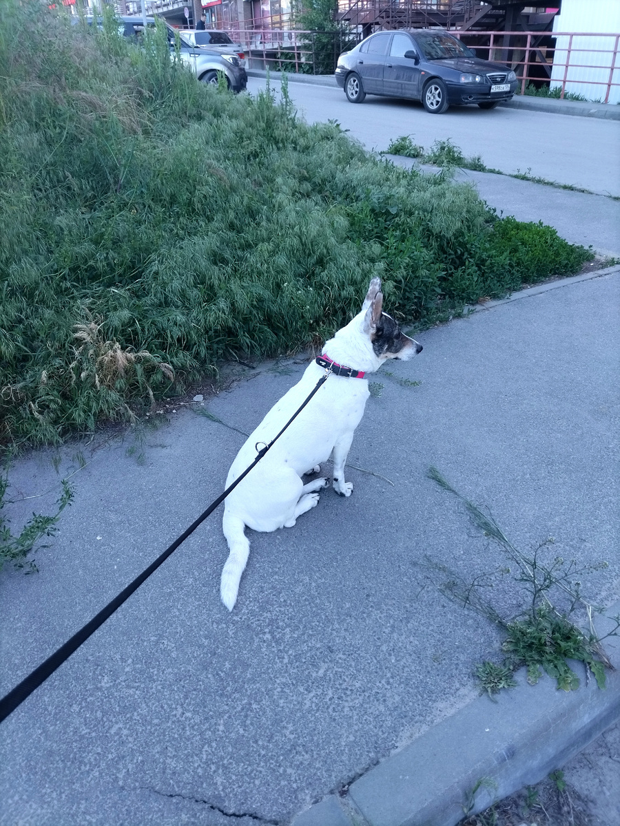 Ждём дочь из магазина перед прогулкой 