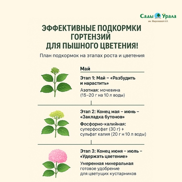 Добавьте описание