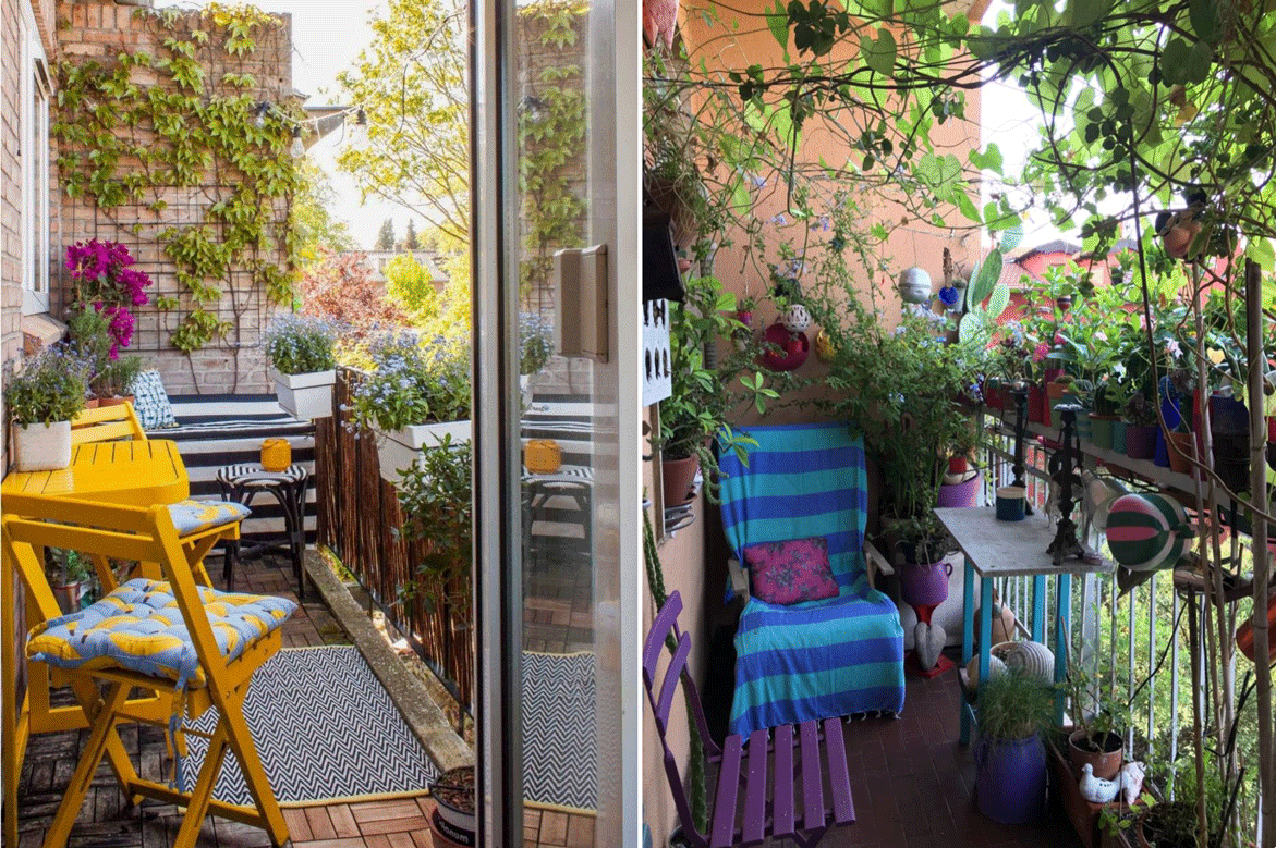 Фото взяты из открытых источников