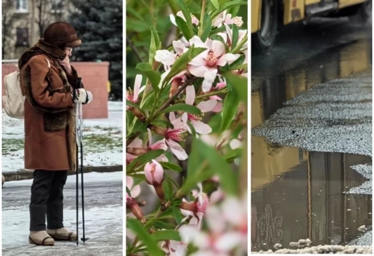    Неласковый май.