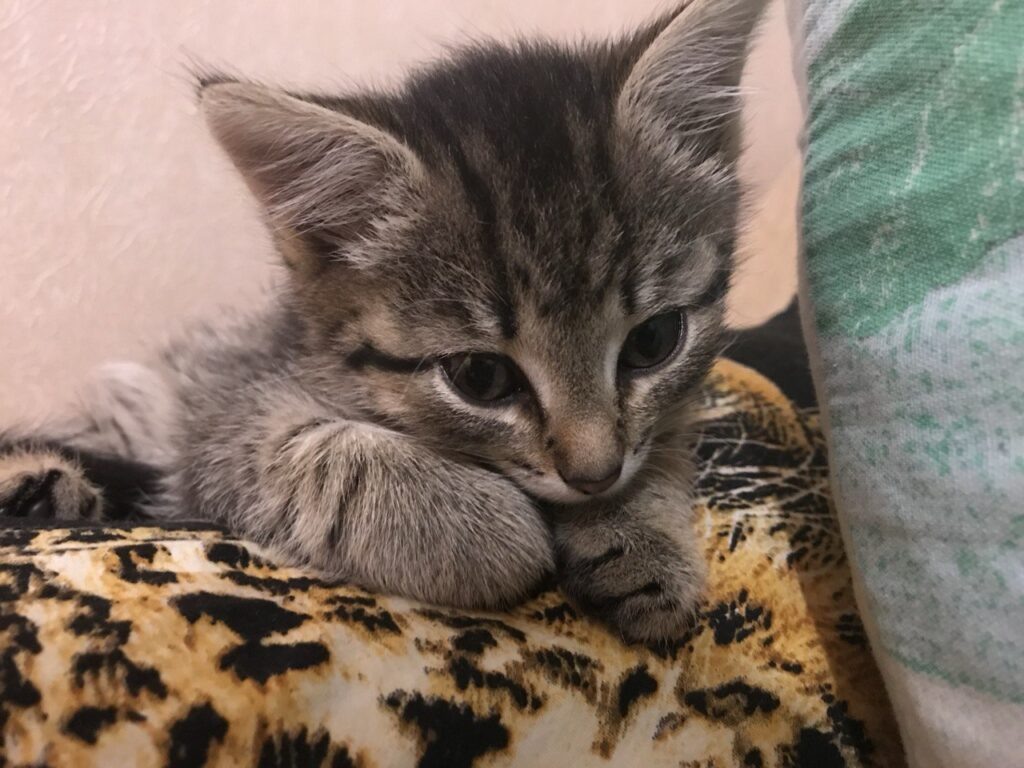    Фото: В курсе.ру Ульяна Бажанова