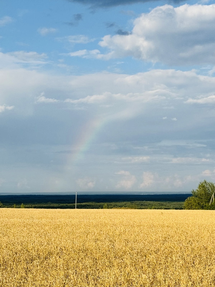Личное фото автора. Село Ратово - моё любимое место отдыха.