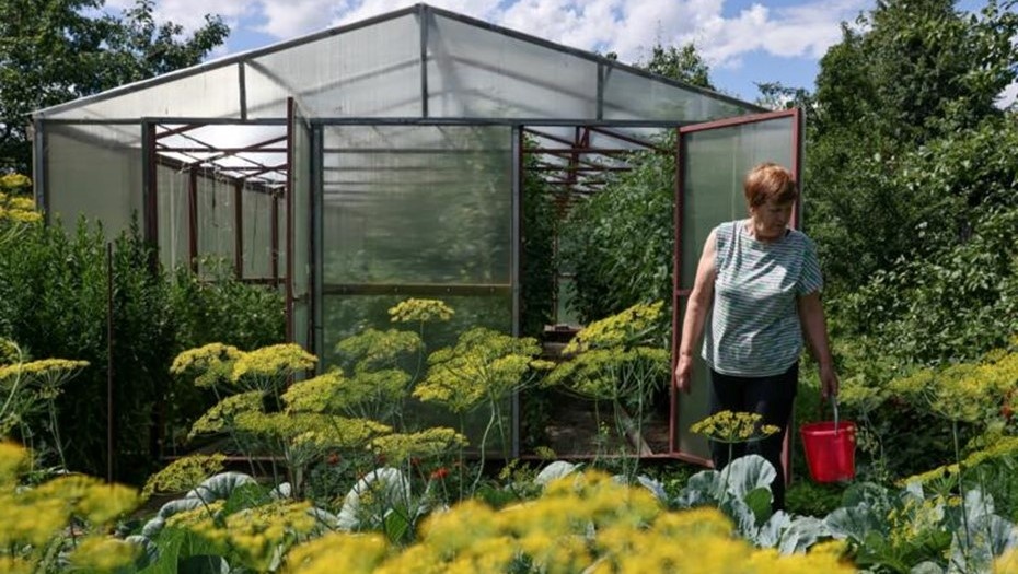    Автор фото: ТАСС