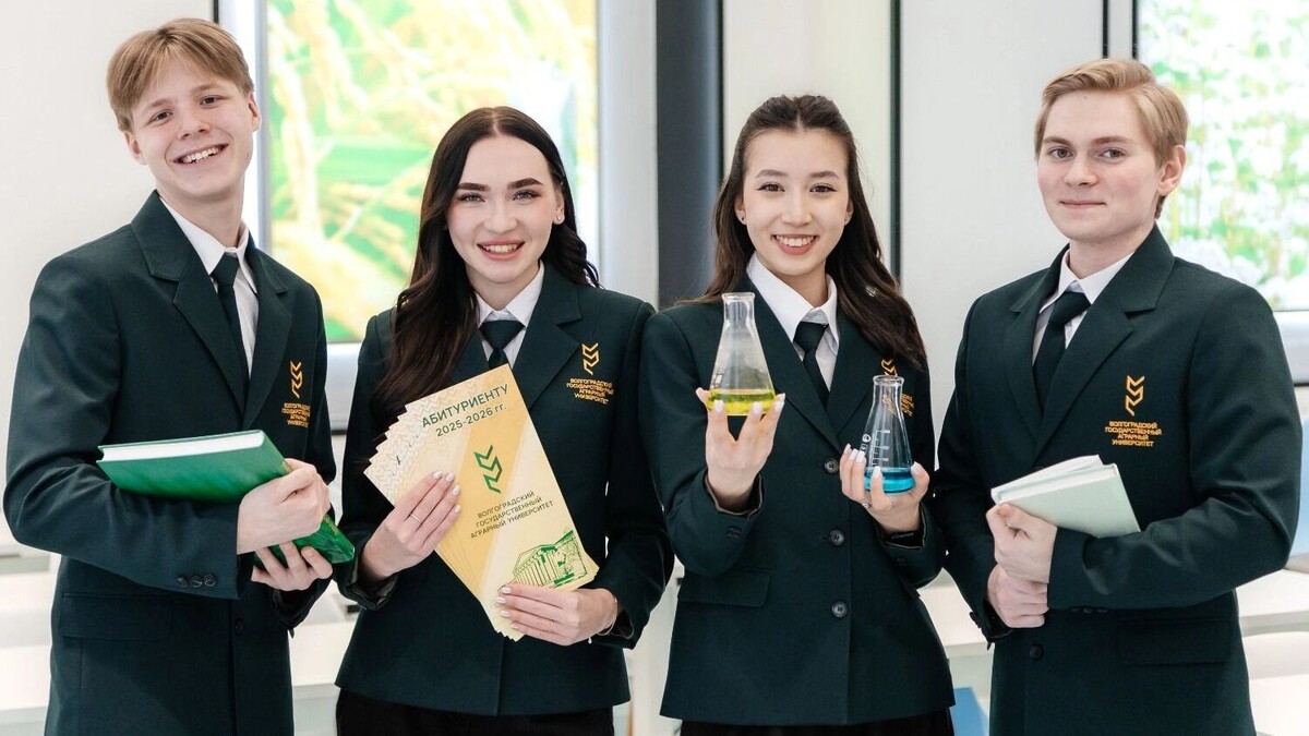     Источник: ВолГАУ