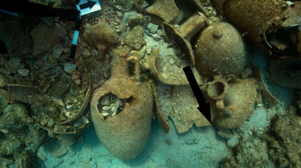    Тайна гибели «Эсмеральды» раскрыта спустя 500 лет