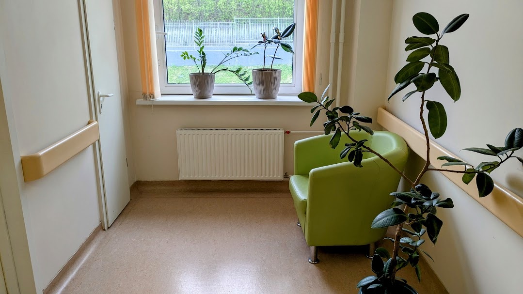 В центре мозга. Фото автора