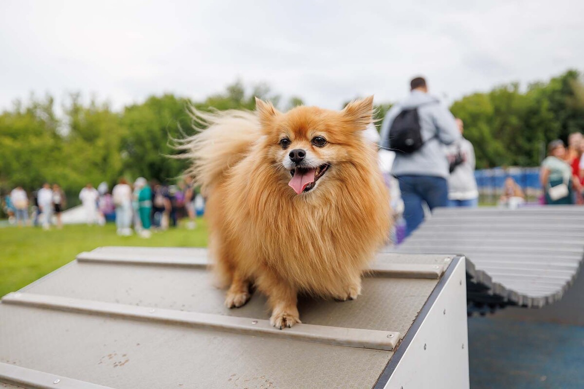    Москва подготовилась к Первомаю: мероприятия и безопасность на высшем уровне