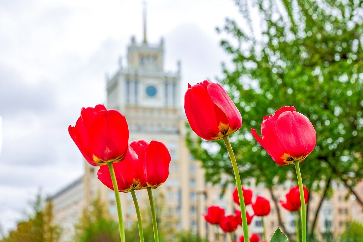    Москва подготовилась к Первомаю: мероприятия и безопасность на высшем уровне