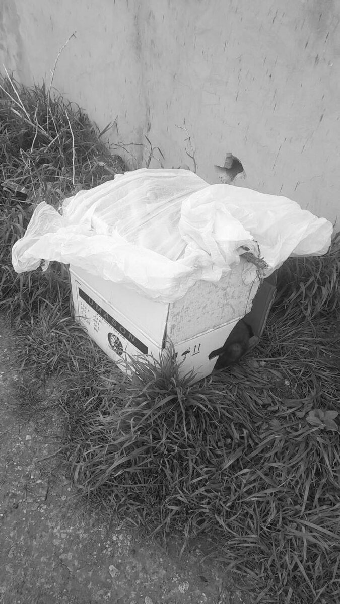 Вот она, коробка...