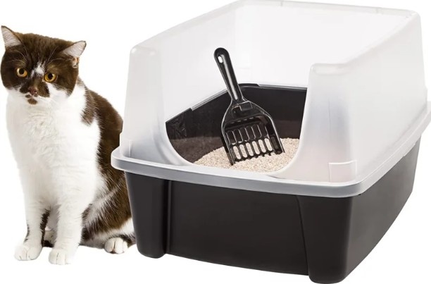 Лоток с высокими бортиками 