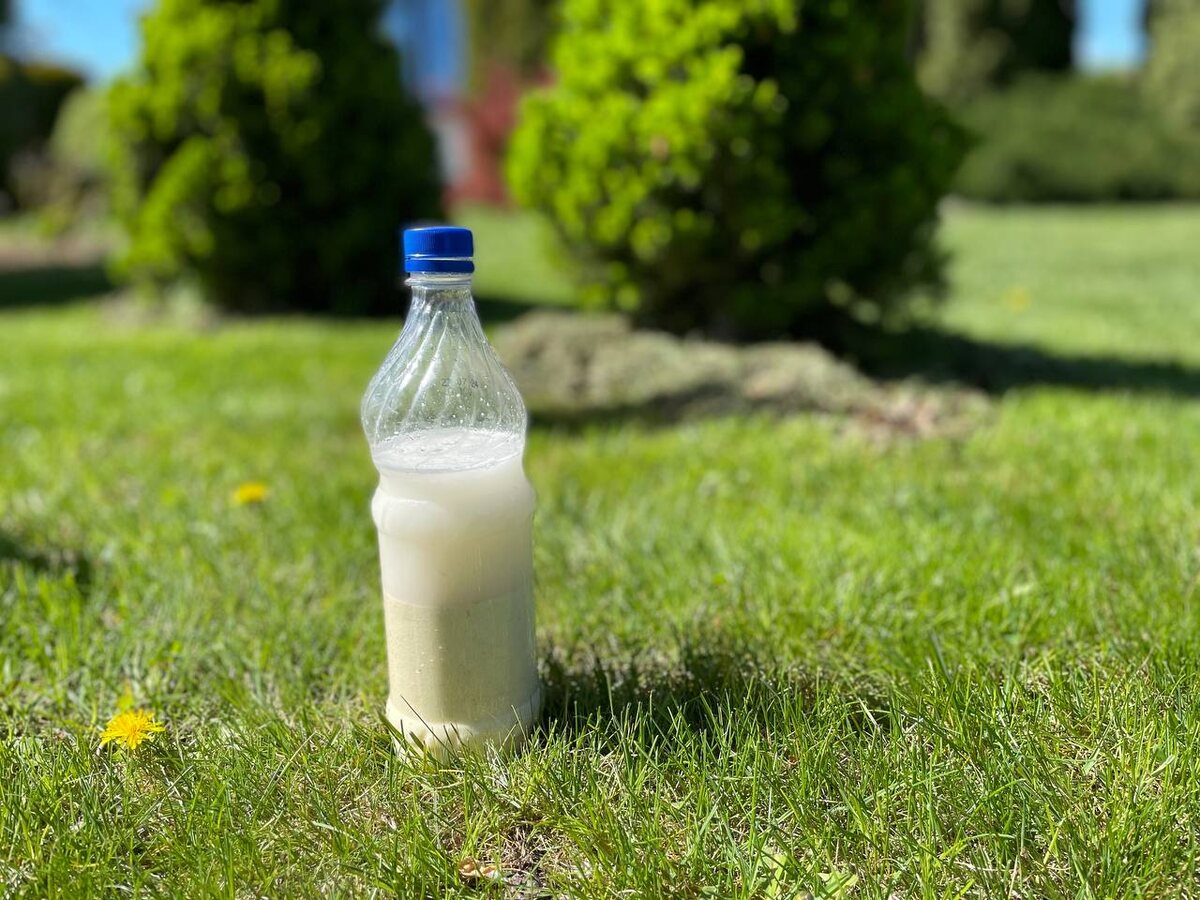 Брызгалка от муравьев. Фото автора 