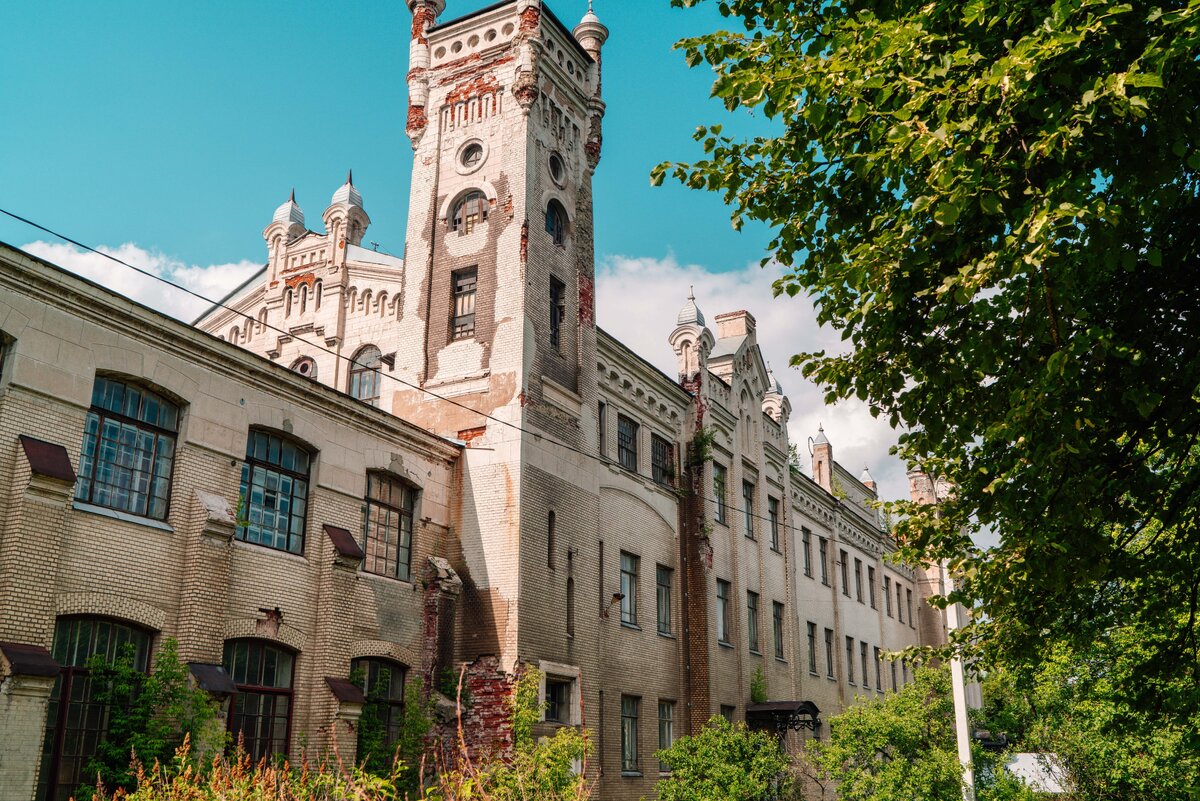    Shutterstock.com/Fotodom