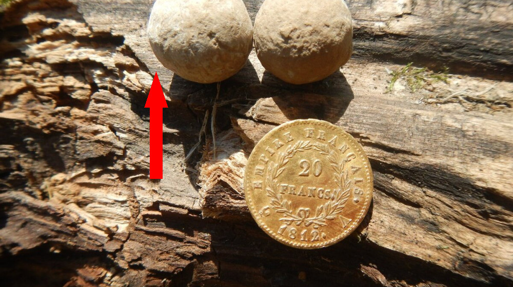    Тайна Семлёвского озера Куда исчез золотой обоз Наполеона