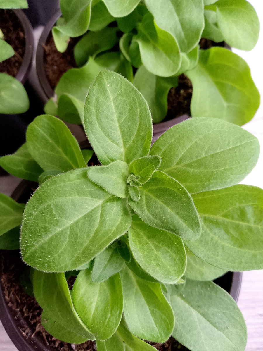 Вовремя выяснить и исправить ситуацию легче, чем запущенную