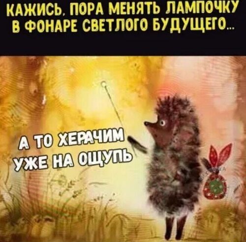 Картинка из сети