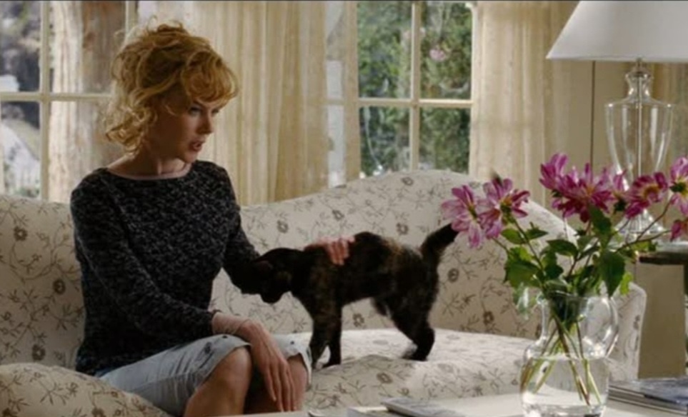 Фото из свободного источника интернета.