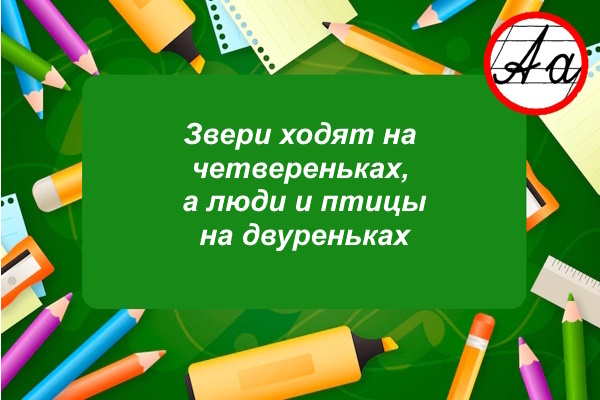Коллаж из изображений Freepik