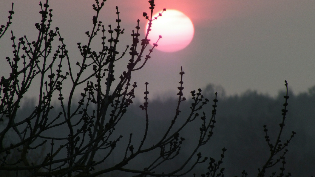    Victor Lisitsyn/Global Look Press/Globallookpress