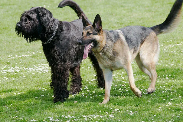 Фото с сайта istockphoto.com