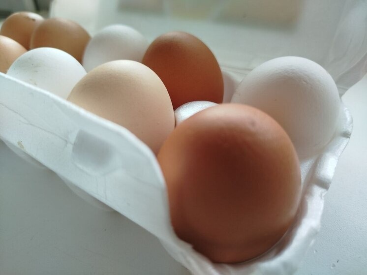     Новгородцы смогли поесть яиц за более низкую стоимость. Фото: Архив МК в Великом Новгороде