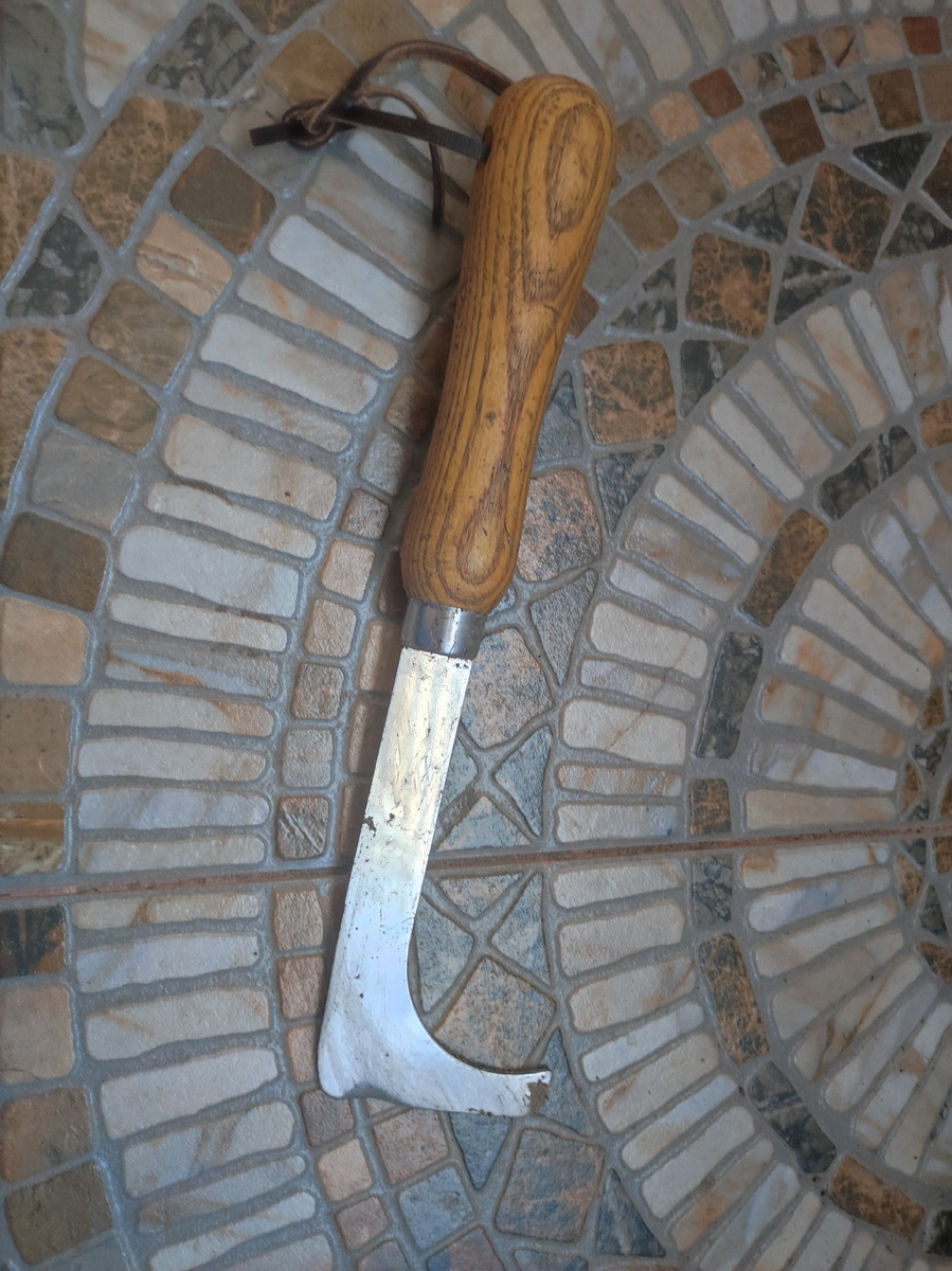 Фото автора, удалитель сорняков в межплиточных швах, май 2025 года