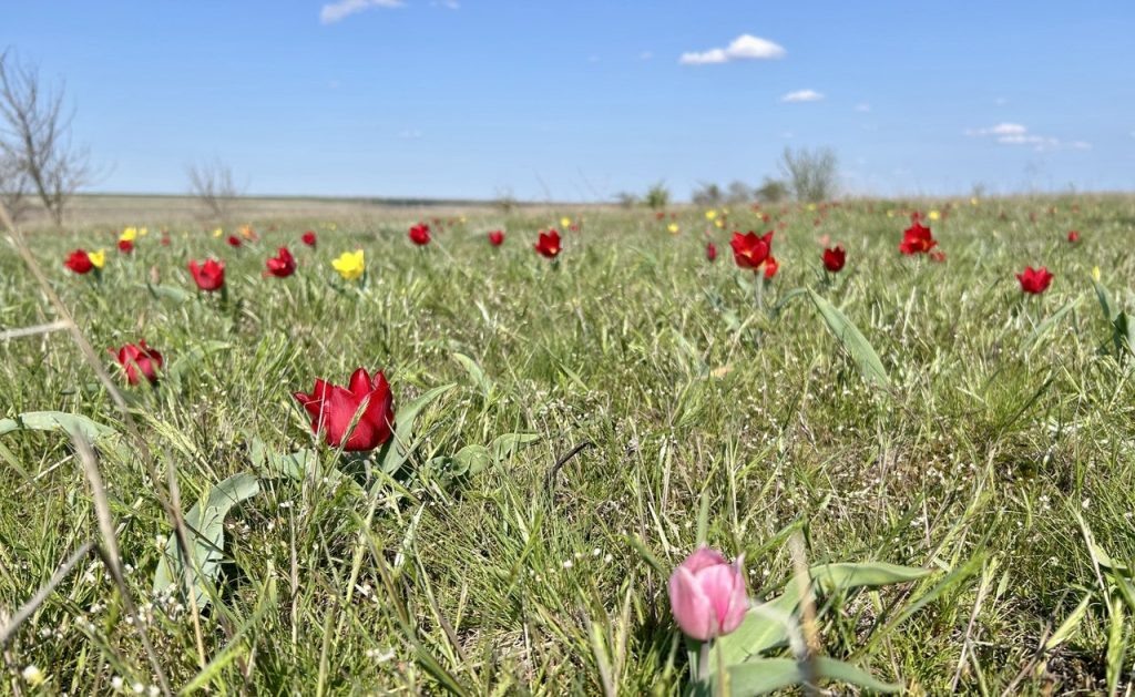    Фото автора Наталья Игнатова