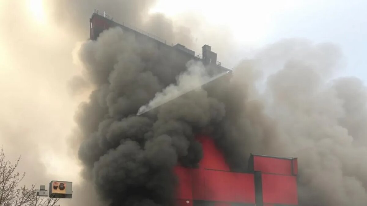    Сгенерировано ИИ