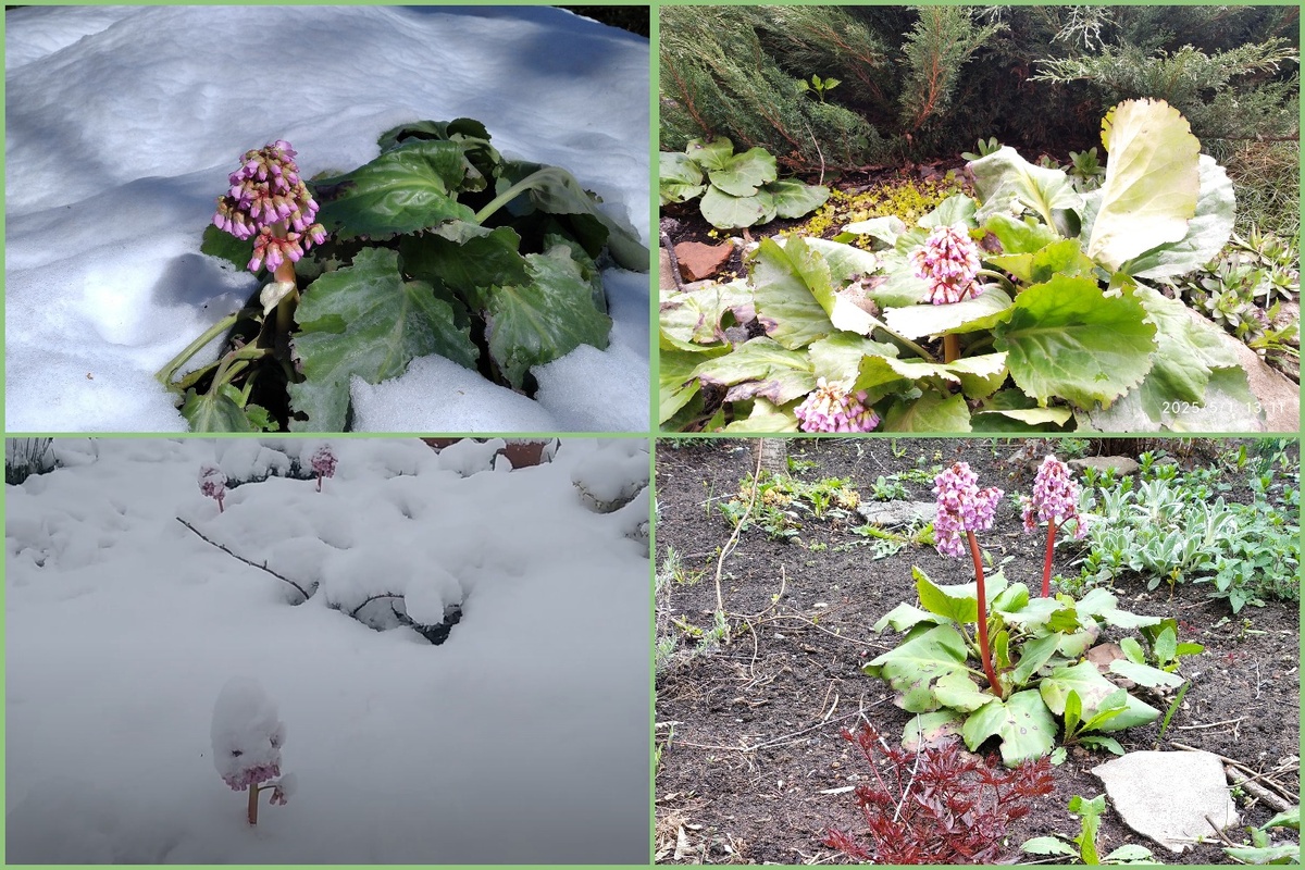 Было-стало, у нас во дворе (видео и все фотографии в статье мои)