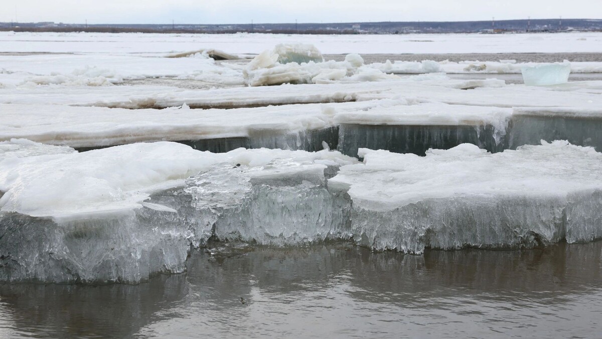    Фото: Андрей Ткачев/«Ямал-Медиа»